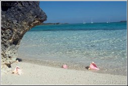 Conch Beach