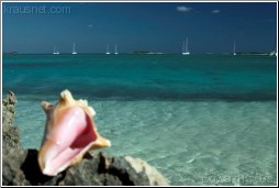 Conch Beach